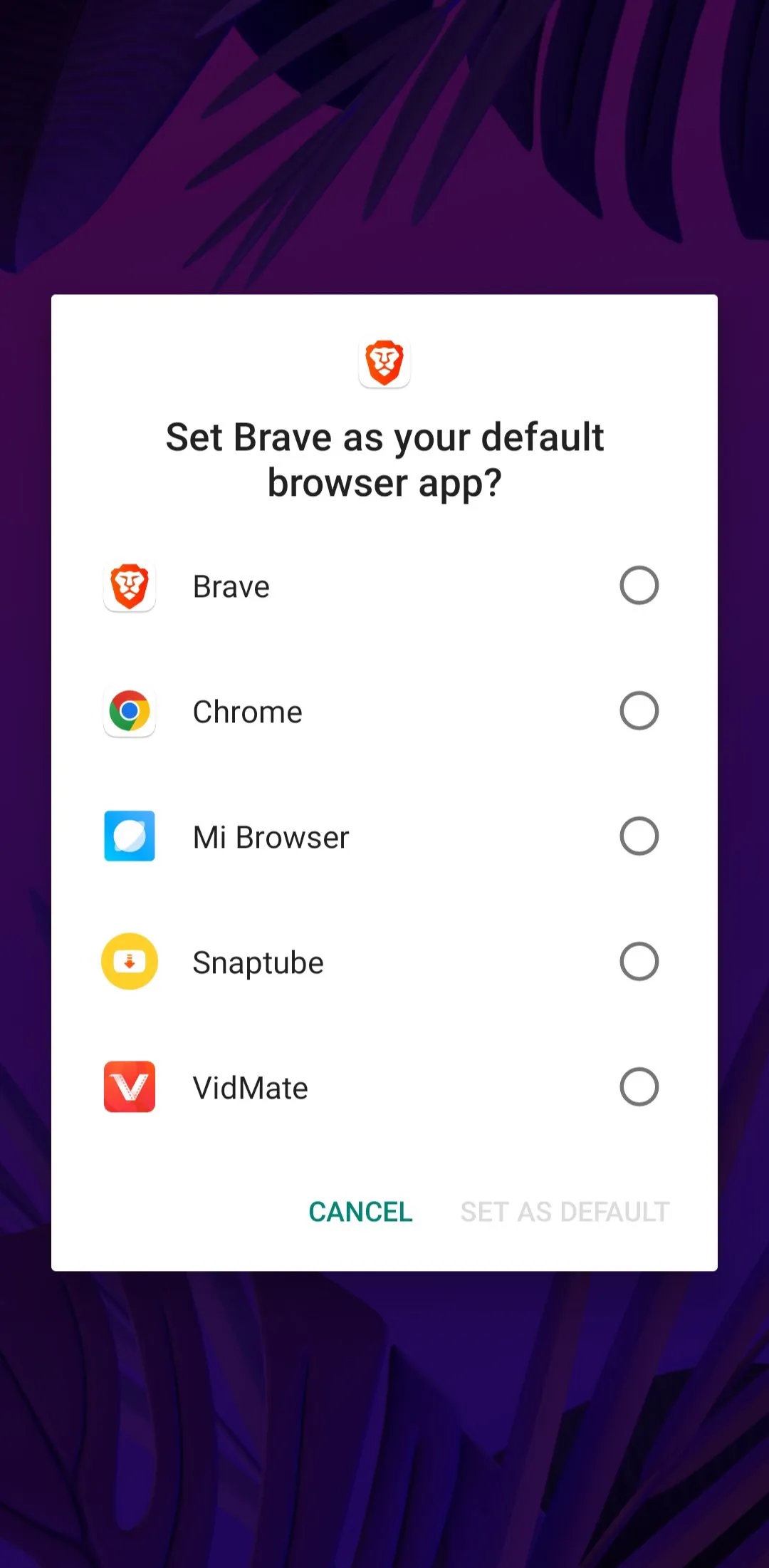 Brave screenshot 1