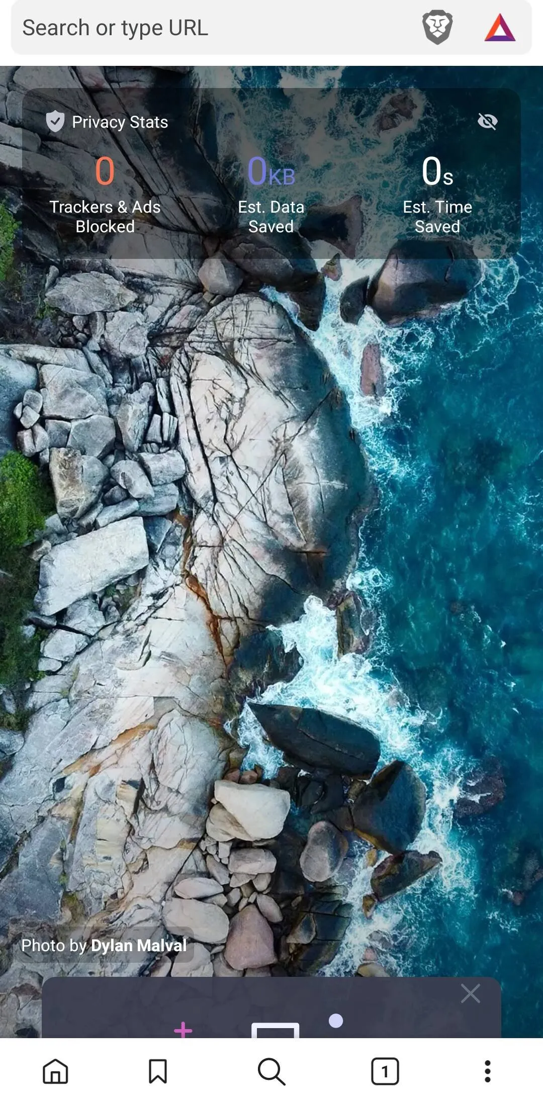 Brave screenshot 6
